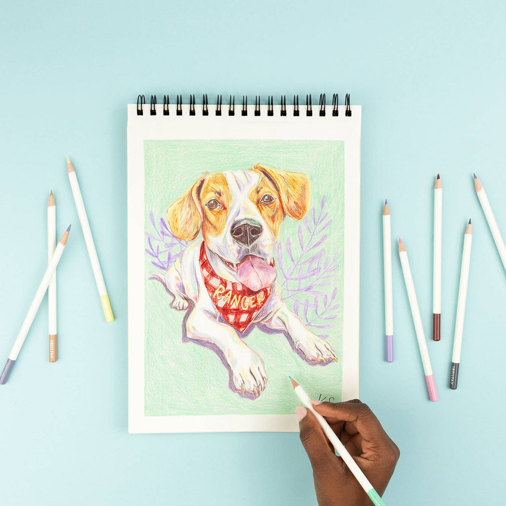 Tombow IROJITEN Buntstifte mit 30 Farben