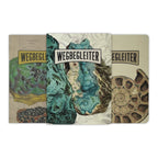 WEGBEGLEITER Set aus 3 Notizheften - British Mineralogy Edition - PenJoy