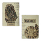 WEGBEGLEITER Set aus 3 Notizheften - British Mineralogy Edition - PenJoy